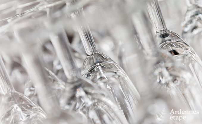 Luxusvilla Spa 15 Pers. Ardennen Schwimmbad Wellness