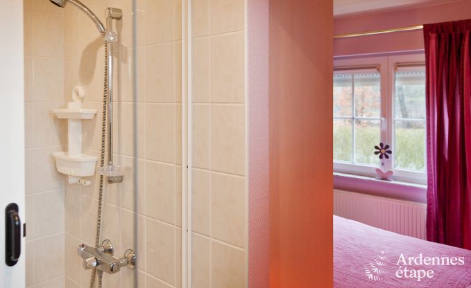 Luxusvilla Spa 15 Pers. Ardennen Schwimmbad Wellness