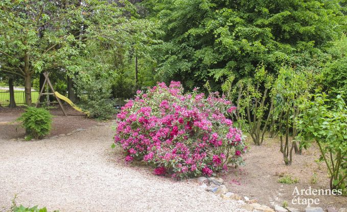 Schloss Spa 15 Pers. Ardennen Wellness