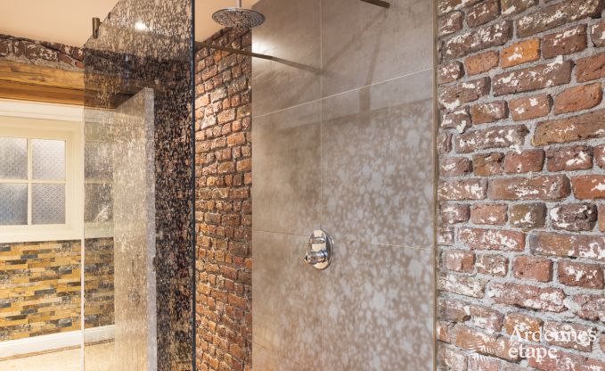 Schloss Spa 9 Pers. Ardennen Wellness