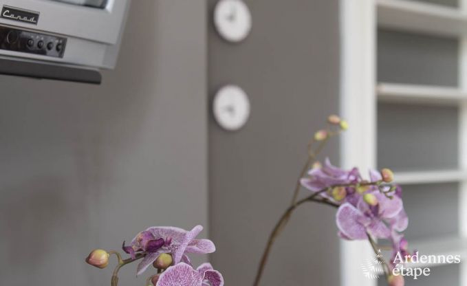 Schloss Spa 10 Pers. Ardennen Schwimmbad