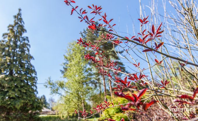 Ferienhaus Spa 2/3 Pers. Ardennen