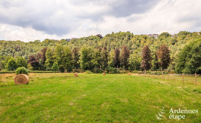 Ferienhaus Spa 4/6 Pers. Ardennen