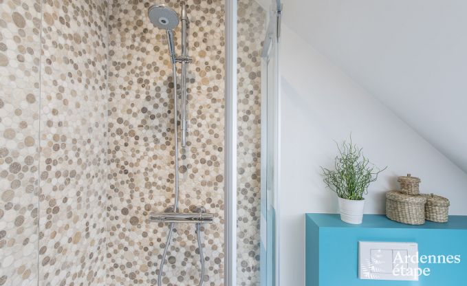 Ferienhaus Spa 12 Pers. Ardennen Wellness