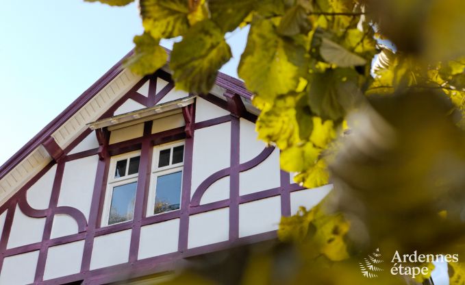 Luxusvilla Spa 9 Pers. Ardennen Wellness