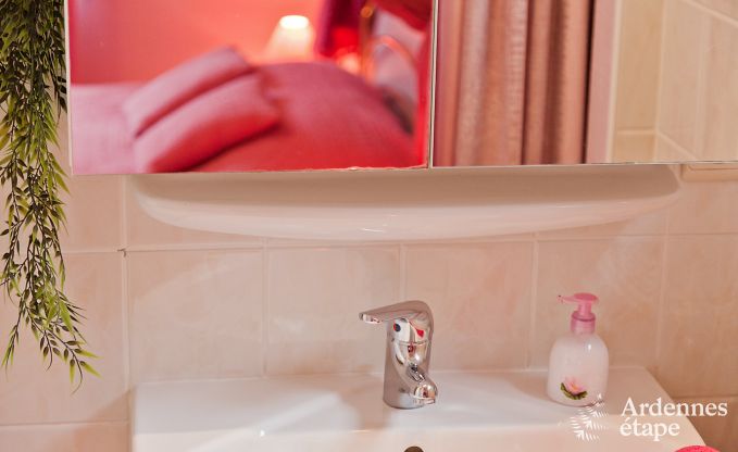 Luxusvilla Spa 15 Pers. Ardennen Schwimmbad Wellness