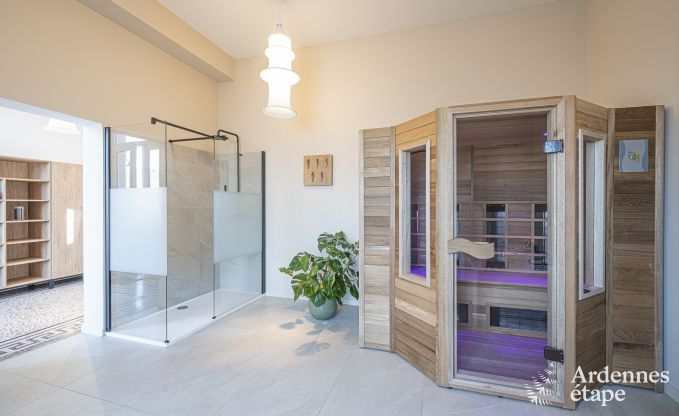 Luxusvilla Spa 18 Pers. Ardennen Schwimmbad Wellness