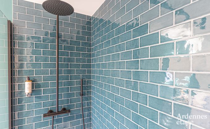 Luxusvilla Spa 18 Pers. Ardennen Schwimmbad Wellness