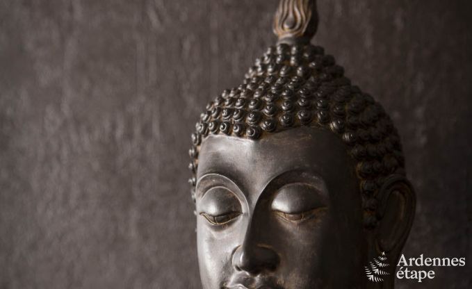 Schloss Spa 20 Pers. Ardennen Schwimmbad Wellness