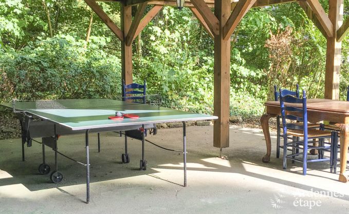 Schloss Spa 15 Pers. Ardennen Wellness