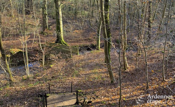 au�ergew�hnliche Ferienwohnung Spa 24 Pers. Ardennen Wellness