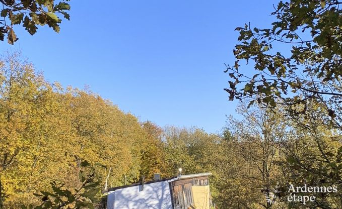 au�ergew�hnliche Ferienwohnung Spa 24 Pers. Ardennen Wellness