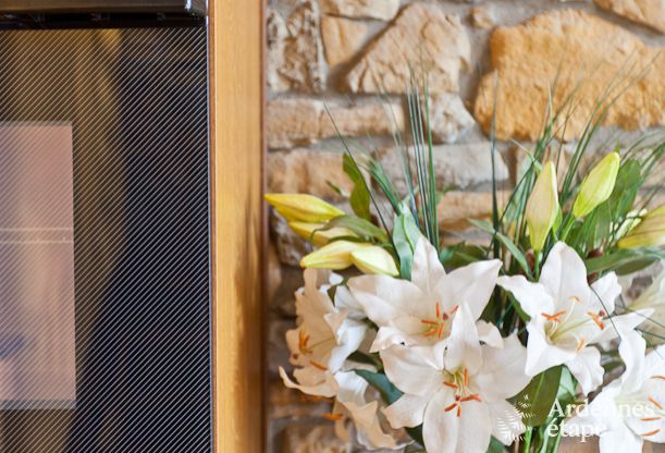 Ferienhaus Sprimont 4 Pers. Ardennen