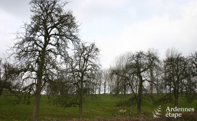 Ferienhaus Sprimont 14 Pers. Ardennen