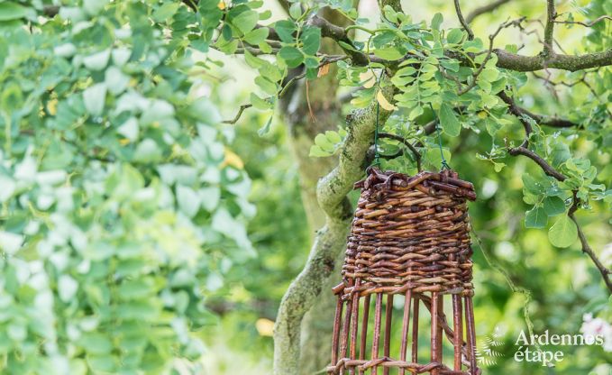 Ferienhaus Sprimont 2/4 Pers. Ardennen Wellness