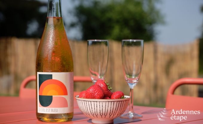 Tiny House mit Holzofen und privatem Garten in Sprimont, Hohes Venn