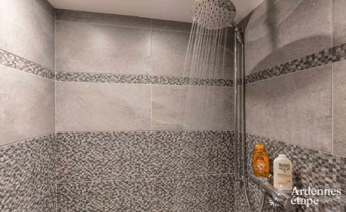 Ferienhaus Sprimont 2/4 Pers. Ardennen Wellness