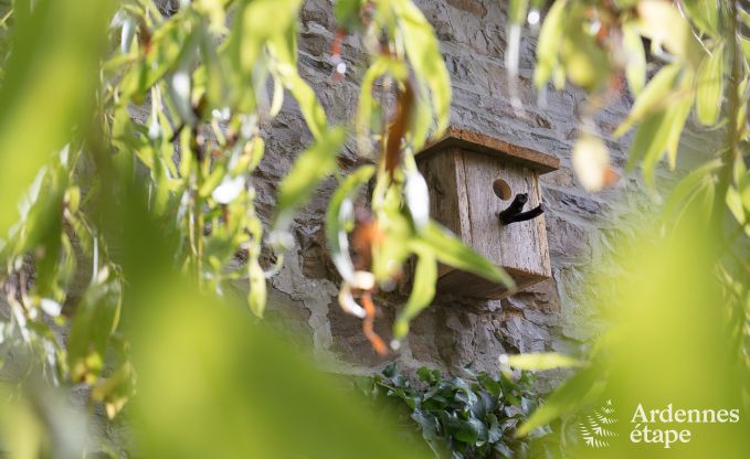 Ferienhaus Sprimont 2/4 Pers. Ardennen Wellness