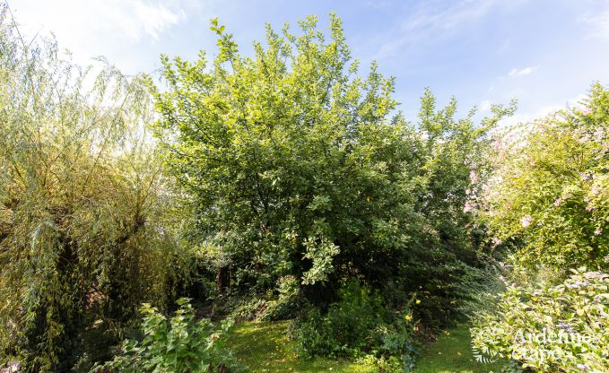 Ferienhaus Sprimont 2/4 Pers. Ardennen Wellness