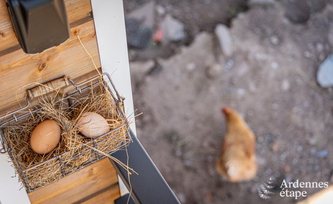 Chalet Stavelot 2 Pers. Ardennen Wellness