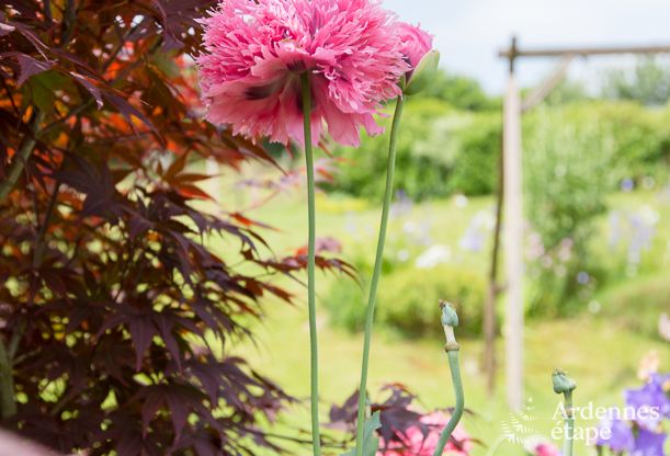 Chalet Stavelot 2 Pers. Ardennen Wellness