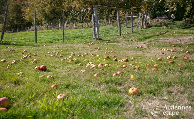 Chalet Stavelot 2 Pers. Ardennen Wellness
