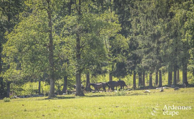 Ferienhaus Stavelot 6 Pers. Ardennen
