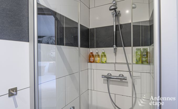 Ferienhaus Stavelot 2 Pers. Ardennen