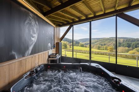 Ferienhaus f�r 4 Personen mit Whirlpool und Aussicht in Stavelot, in den Ardennen