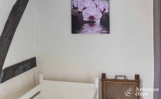 Ferienhaus Stavelot 15/18 Pers. Ardennen Wellness