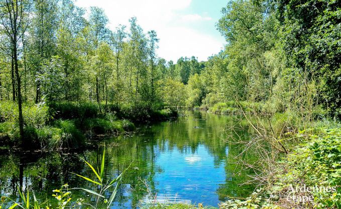 Ferienhaus Stavelot 5 Pers. Ardennen Wellness