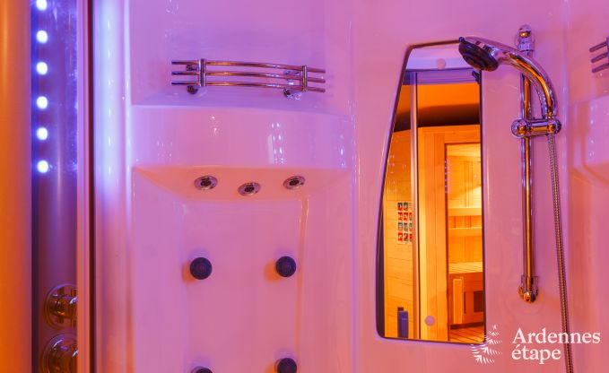 Ferienhaus Stavelot 15 Pers. Ardennen Wellness