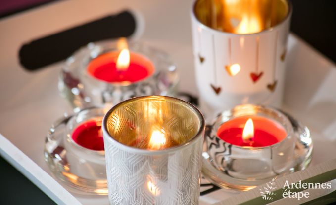 Ferienhaus Stavelot 2 Pers. Ardennen Wellness