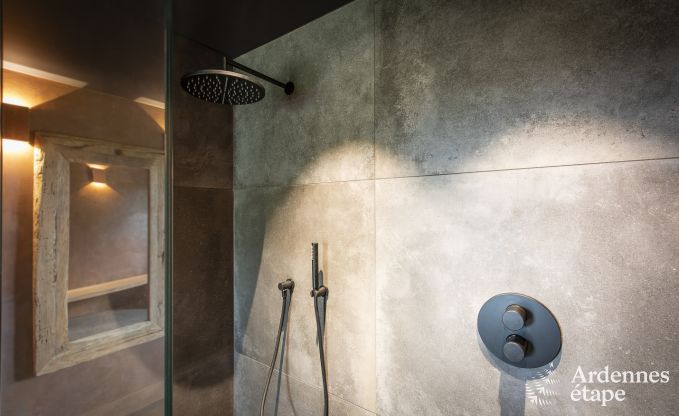 Ferienhaus Stavelot 4 Pers. Ardennen Wellness