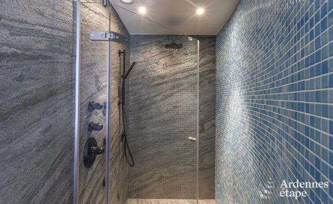 Ferienhaus Stavelot 4 Pers. Ardennen Wellness