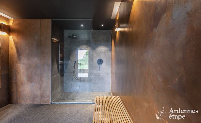 Ferienhaus Stavelot 6 Pers. Ardennen Wellness