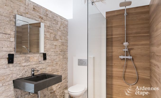 Luxusvilla Stavelot 10/12 Pers. Ardennen Wellness