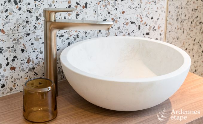 Luxusvilla Stavelot 10/12 Pers. Ardennen Wellness