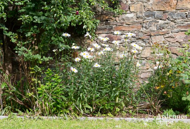 Luxusvilla Stavelot 14 Pers. Ardennen Wellness