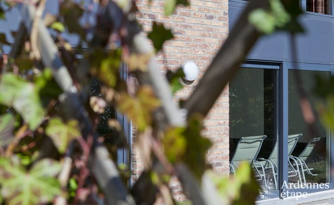 Luxusvilla Stavelot 20 Pers. Ardennen Schwimmbad Wellness