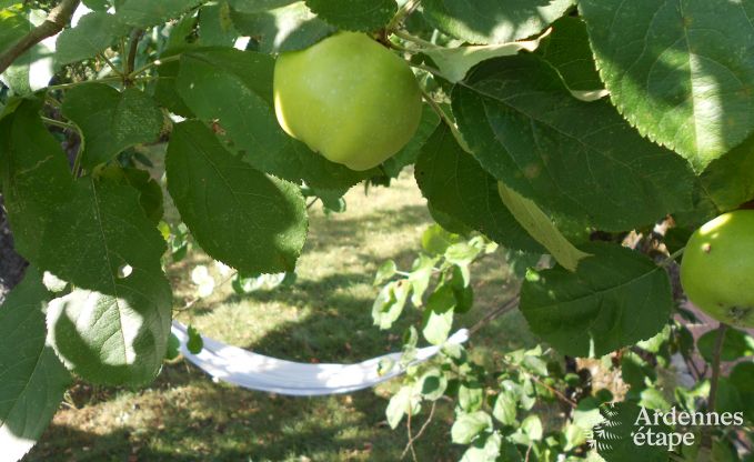 Urlaub auf dem Bauernhof Stavelot 4 Pers. Ardennen