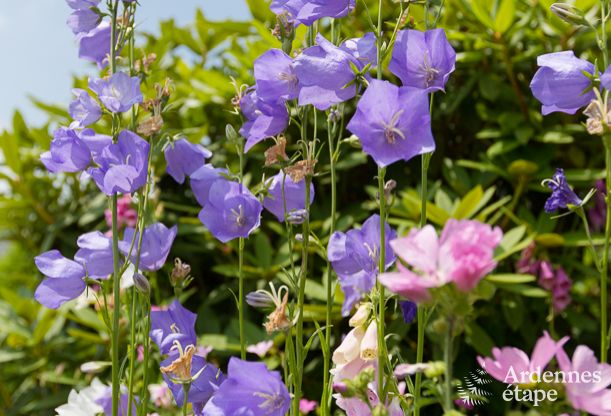 Chalet Stavelot 2 Pers. Ardennen Wellness