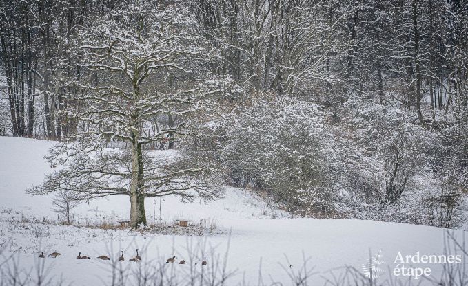 Ferienhaus Stavelot mit Whirlpool und Aussicht 4 Pers. Ardennen