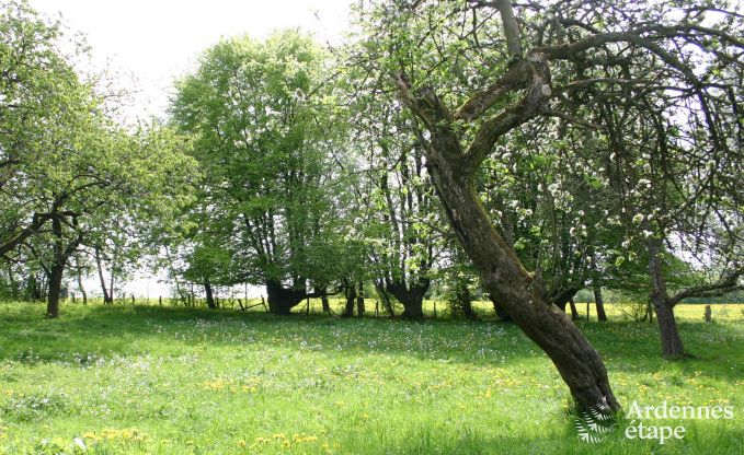 Ferienhaus Stavelot 15/18 Pers. Ardennen Wellness