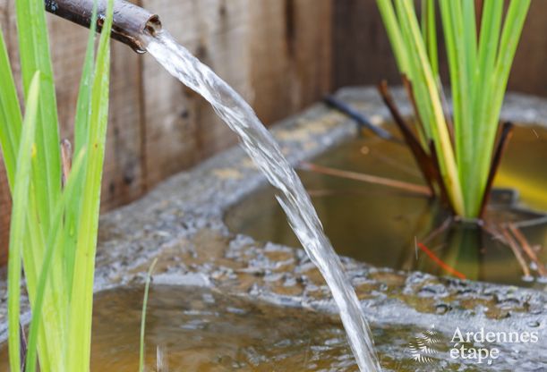 Ferienhaus Stavelot 15 Pers. Ardennen Wellness