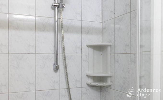 Ferienhaus Stavelot 19 Pers. Ardennen Wellness Behinderten gerecht