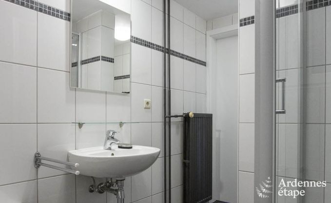 Ferienhaus Stavelot 8/9 Pers. Ardennen Schwimmbad Wellness