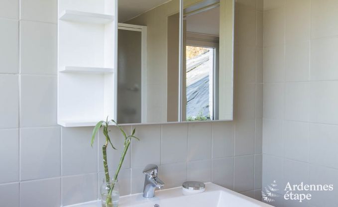 Ferienhaus Stavelot 8/9 Pers. Ardennen Schwimmbad Wellness