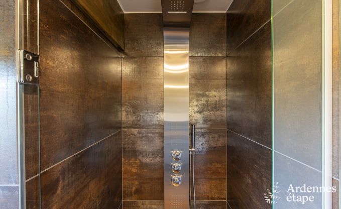 Ferienhaus Stavelot 12/15 Pers. Ardennen Schwimmbad Wellness