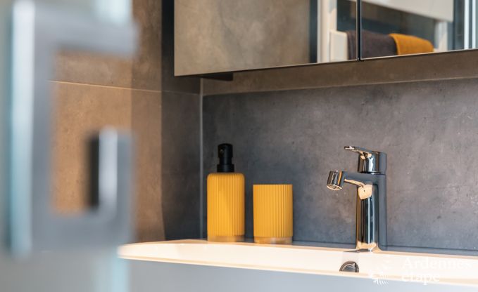 Luxusvilla Stavelot 4/6 Pers. Ardennen Schwimmbad Wellness Behinderten gerecht